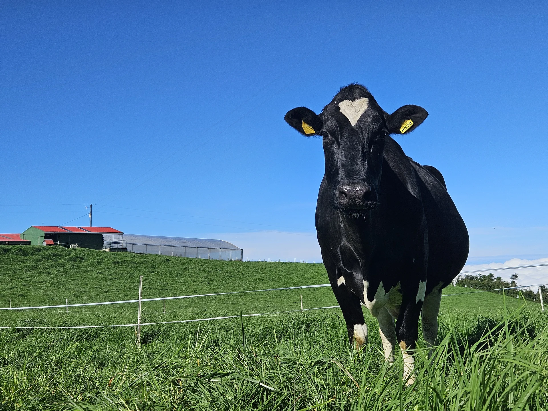 Asesoría Agrícola